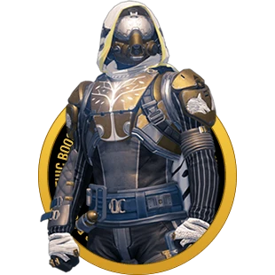 Destiny 2 Leveling Boost