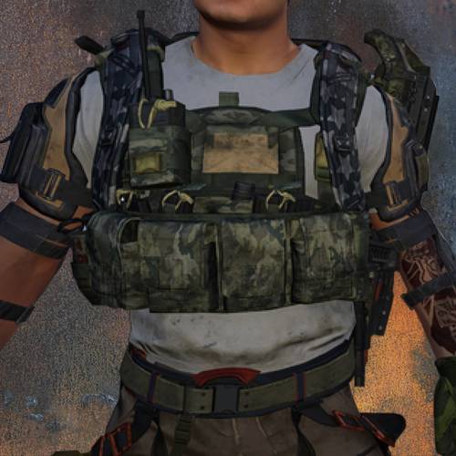 Division 2 Armor Sets | Division 2 Gear Sets Service