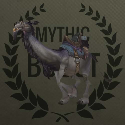 Buy Grey Riding Camel Boost